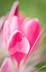 Similar image 8014583