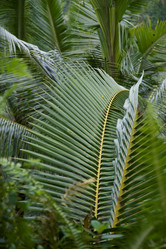 Similar image 8014588