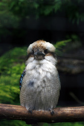 Similar image 8014598