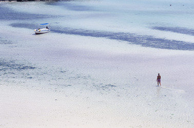 Similar image 8014599