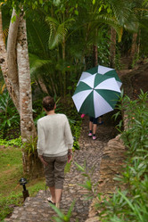 Similar image 8014600