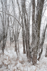 Similar image 8014602