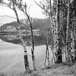 Similar image 8014605