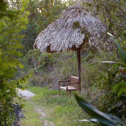 Similar image 8014607