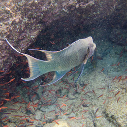 Similar image 8014608