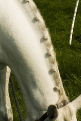 Similar image 8014645