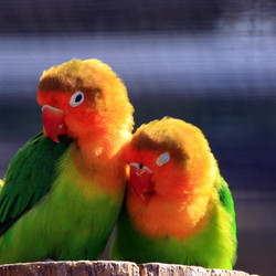 Similar image 8014646