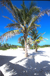 Similar image 8014681