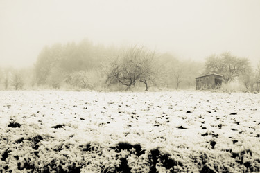 Similar image 8014685