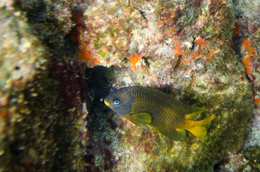 Similar image 8014718