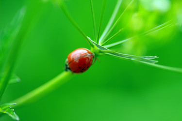 Similar image 8014727