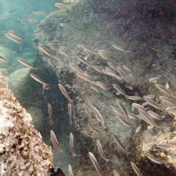 Similar image 8014728