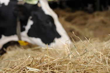 Similar image 8014730