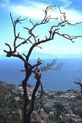 Similar image 8014734