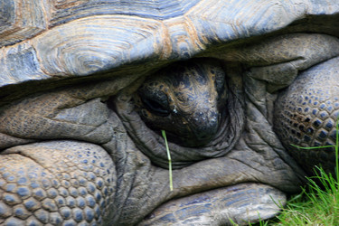 Similar image 8014740