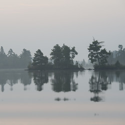 Similar image 8014744