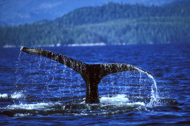 Similar image 8014745