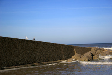 Similar image 8014759