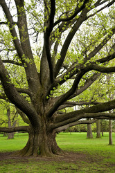 Similar image 8014748