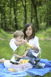 Similar image 8014752