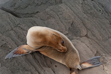 Similar image 8014756