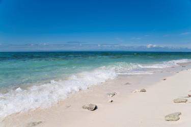 Similar image 8014764