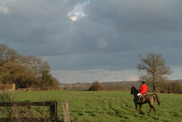 Similar image 8014772