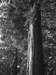 Similar image 8014777