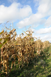 Similar image 8014783