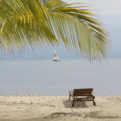 Similar image 8014788