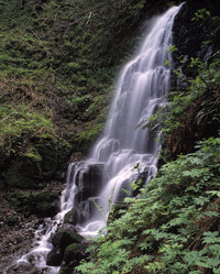 Similar image 8014792