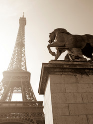 Similar image 8014812