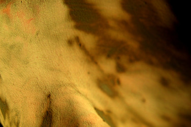 Similar image 8014816