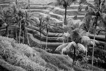 Similar image 8014819