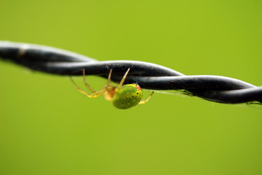 Similar image 8014821