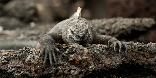 Similar image 8014822