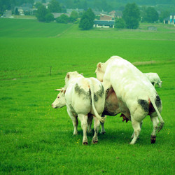 Similar image 8014826