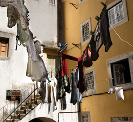 Similar image 8014827