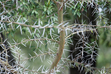 Similar image 8014829