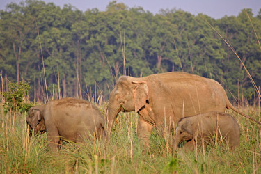 Similar image 8014833