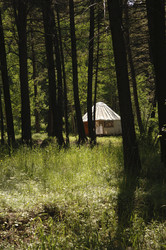 Similar image 8014843