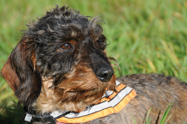 Similar image 8014863