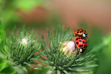 Similar image 8014865