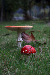 Similar image 8014870