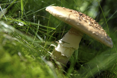 Similar image 8014872