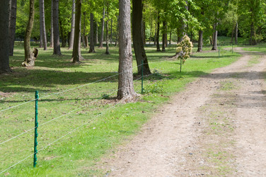 Similar image 8014878