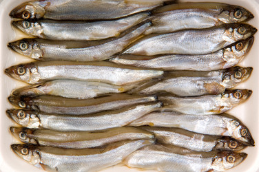 Similar image 8014883