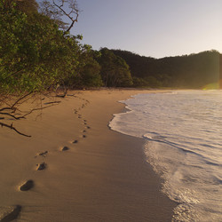 Similar image 8014906