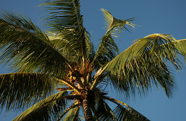 Similar image 8014913