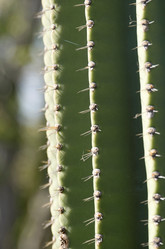 Similar image 8014916